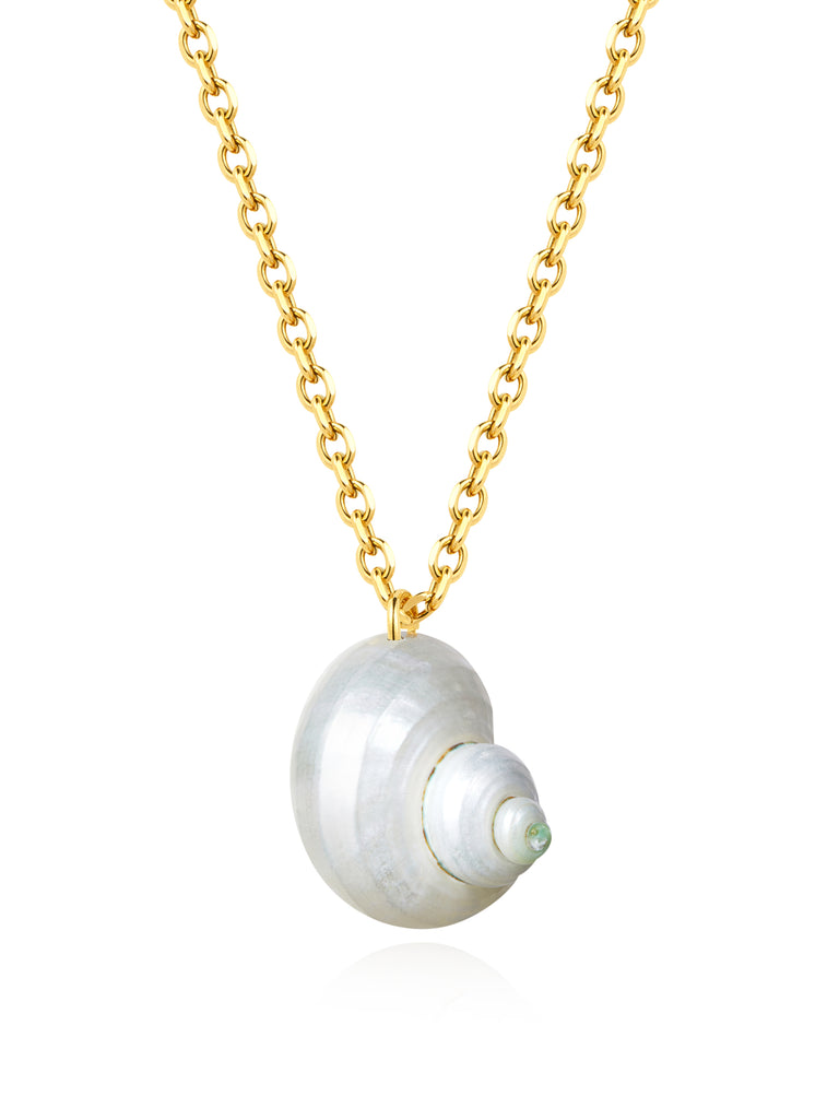 shell necklace gold on white background