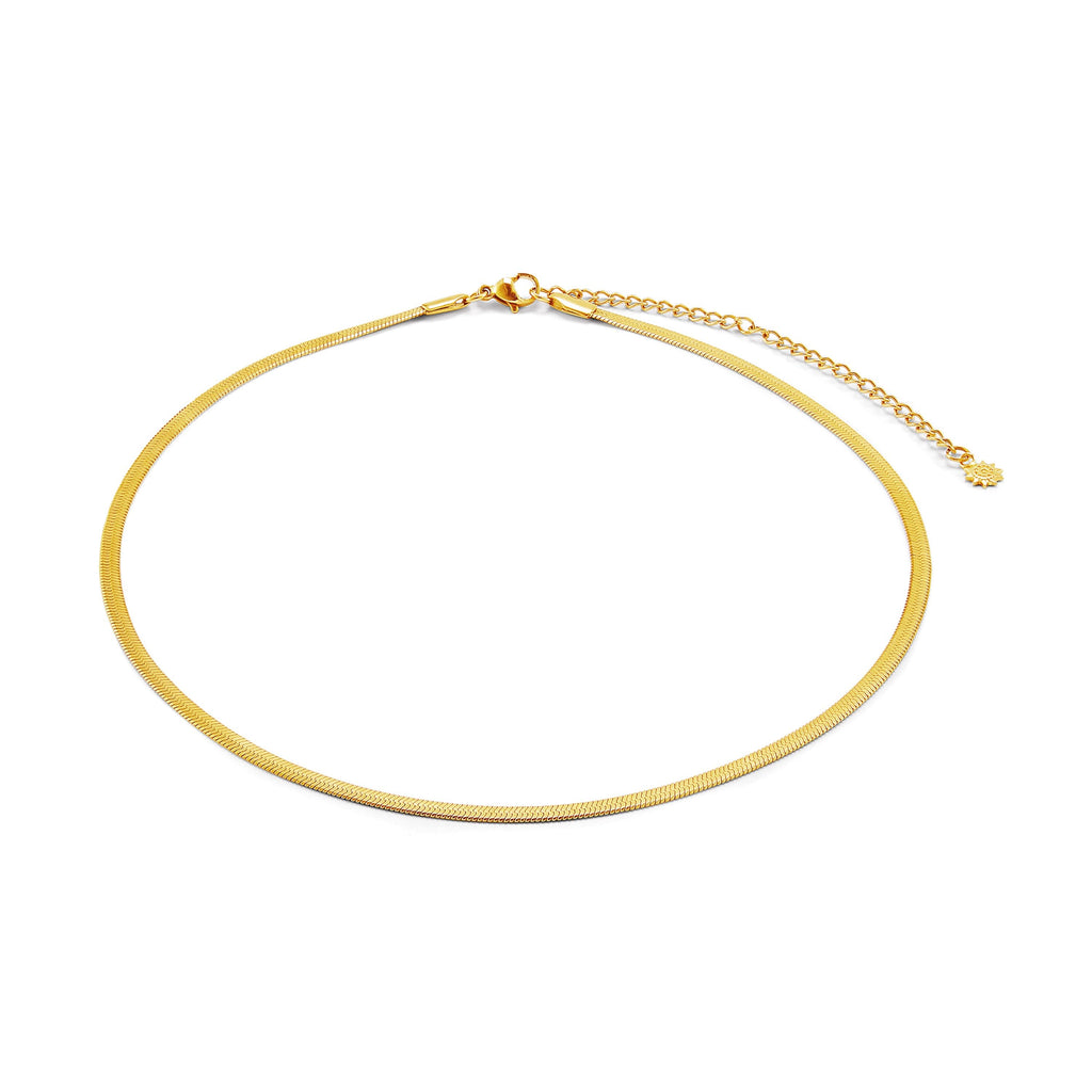 chain necklace with white background