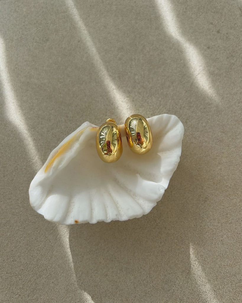 gold earrings displayed on a white shell