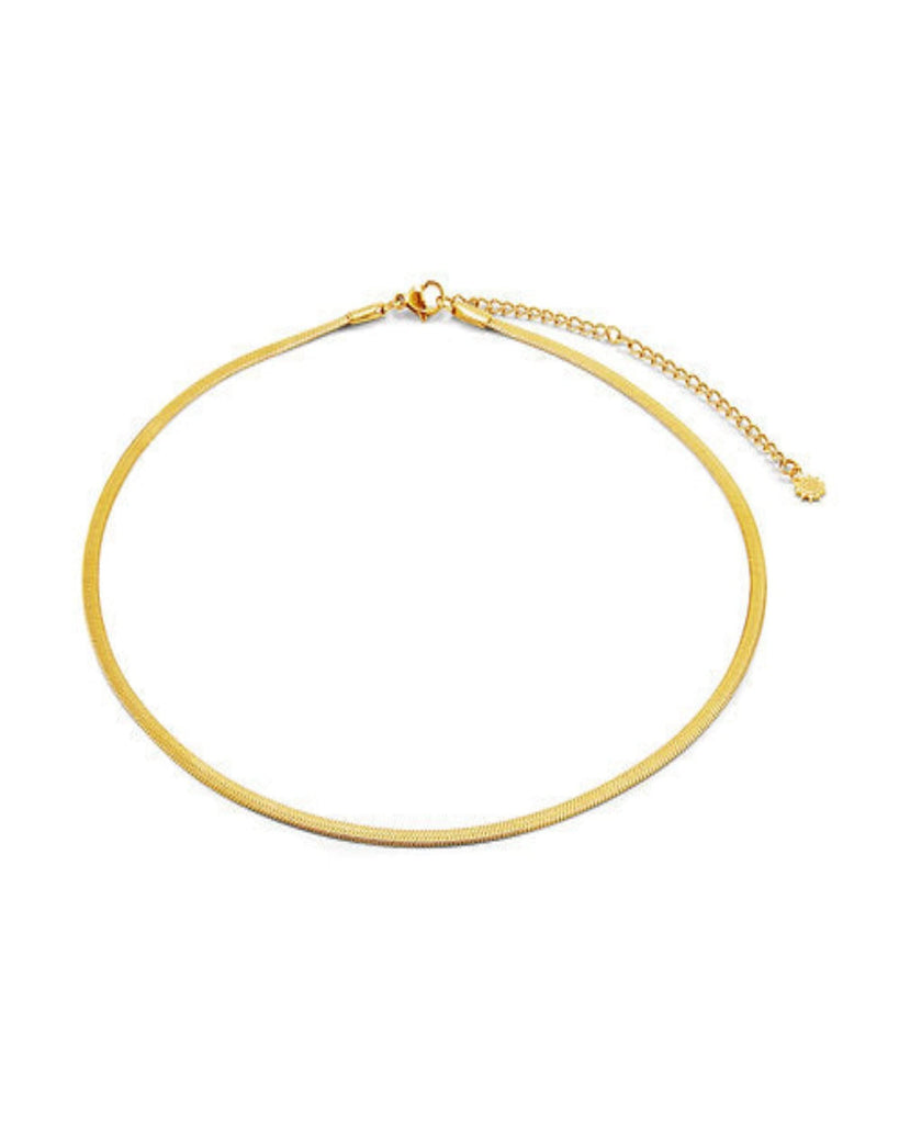 snake chain necklace on white background