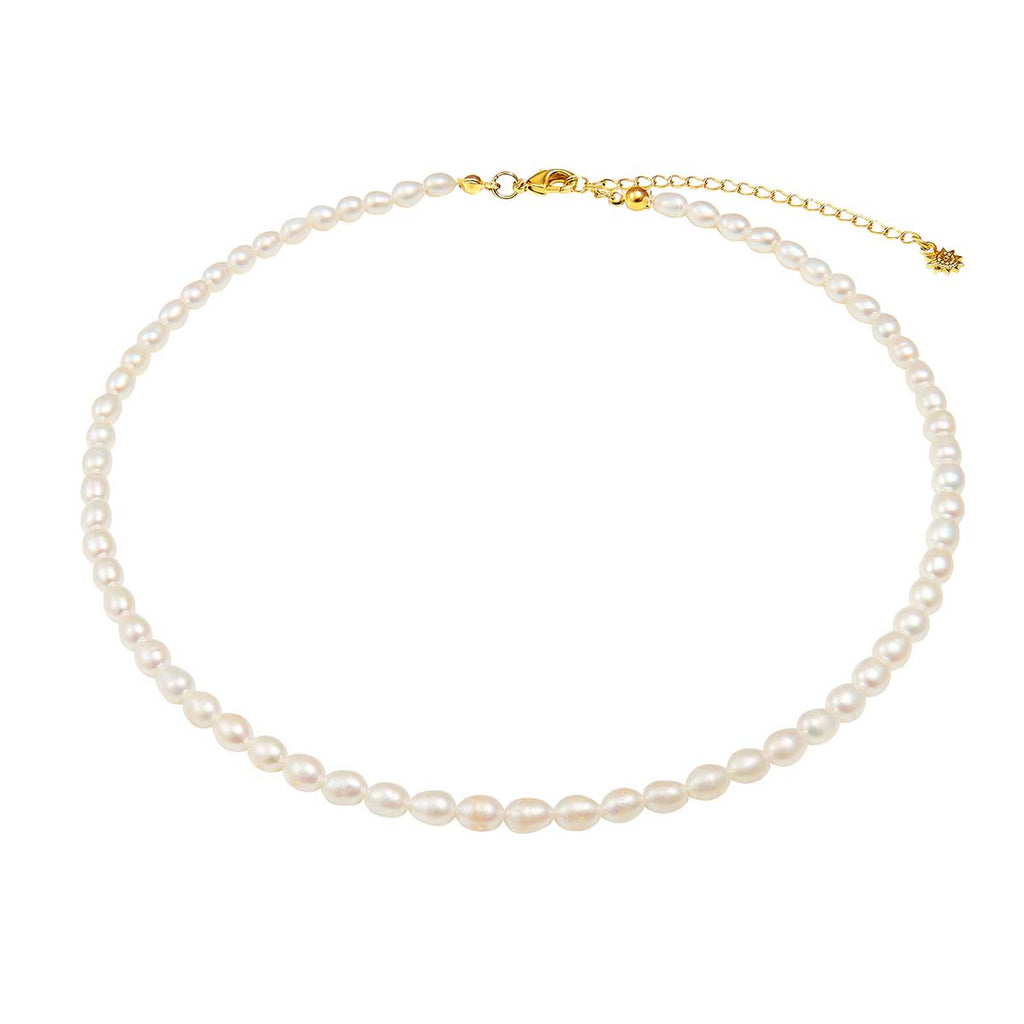 seed pearl necklace over white background