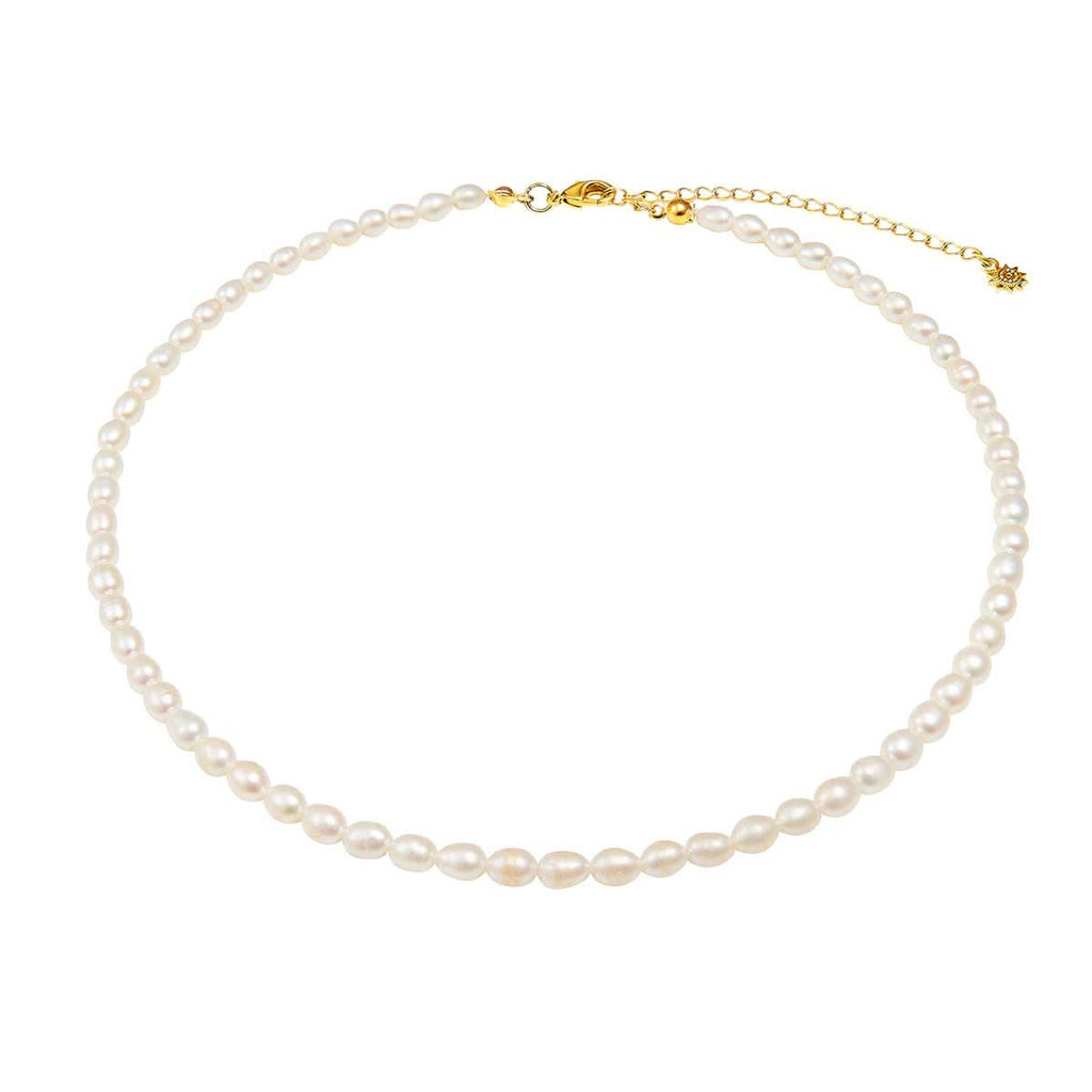 dainty pearl necklace on white background